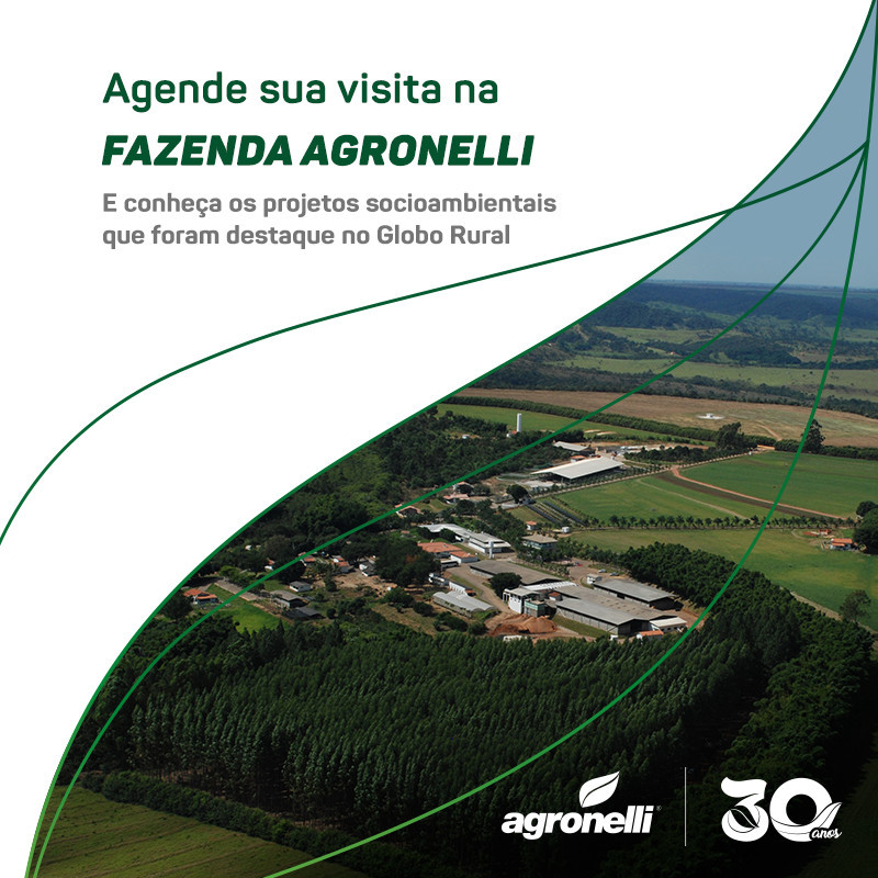 GRUPO AGRONELLI - RIQUEZAS NATURAIS E CAPACIDADE DE INDUSTRIALIZAÇÃO - CONTEXTO REGIONAL